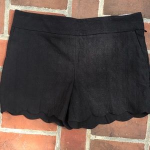 NWT LOFT Scalloped Black Dress Shorts